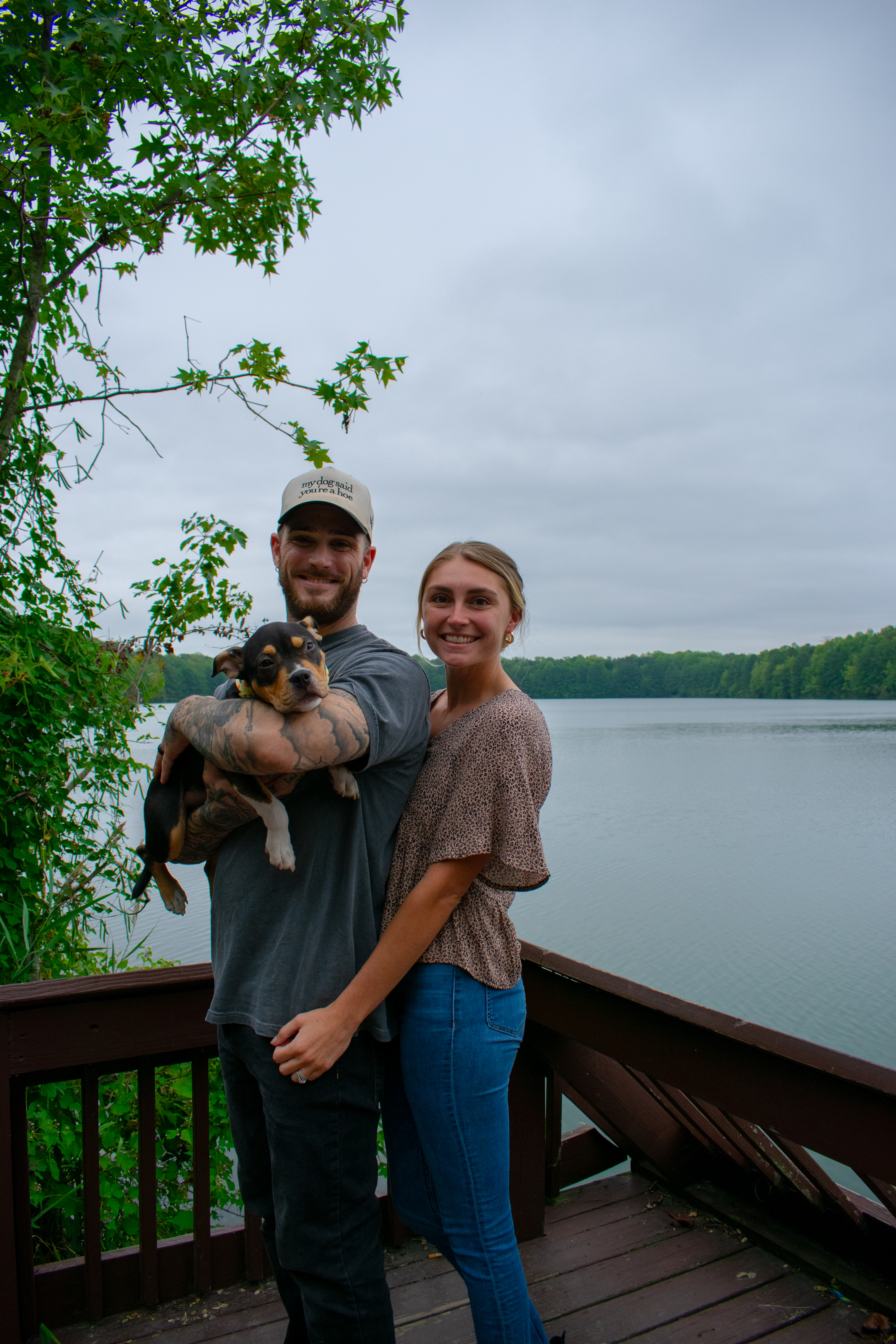 Pets and Companions 1